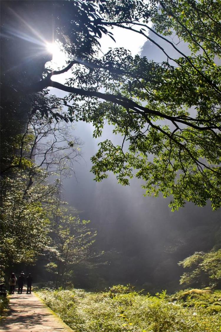 张家界风景壁纸「一份来自张家界的壁纸送给心系山川的你」