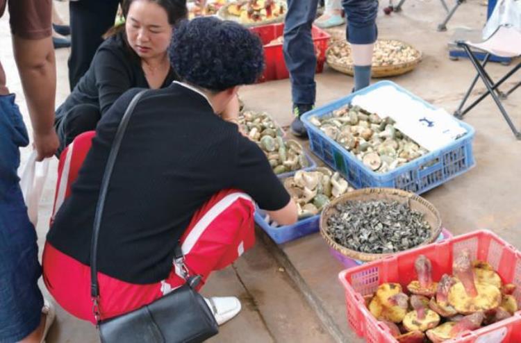 野生菌价钱「野生菌大降价市民我家每年花5万吃菌(jie)你格吃啦」