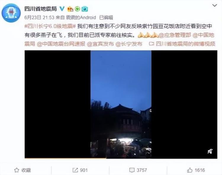 燕子聚集在电线上是什么征兆「密密麻麻的燕子聚集温州电线都被压弯集体出现的原因是什么」