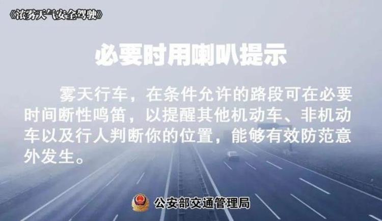 广东新一轮冷空气来袭「温度记AI主播热到要入夏了2月广东将迎4波冷空气」