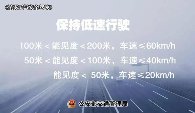 广东新一轮冷空气来袭「温度记AI主播热到要入夏了2月广东将迎4波冷空气」