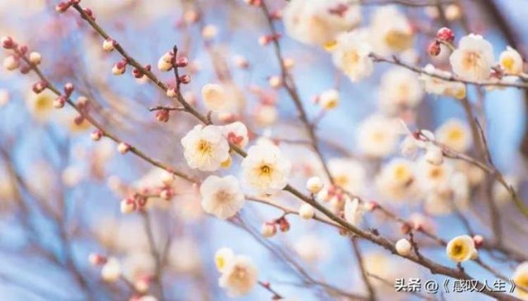 日语月份说法「日语的月份还有这样的读法你知道吗」