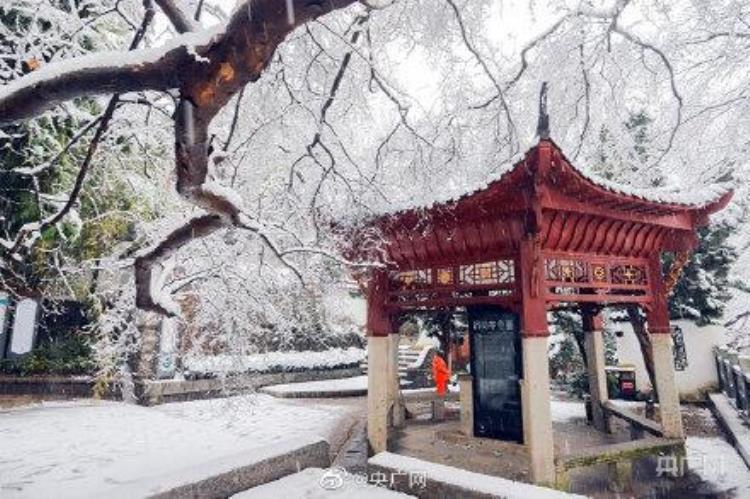 九江的雪景「江西九江现绝美雪景」