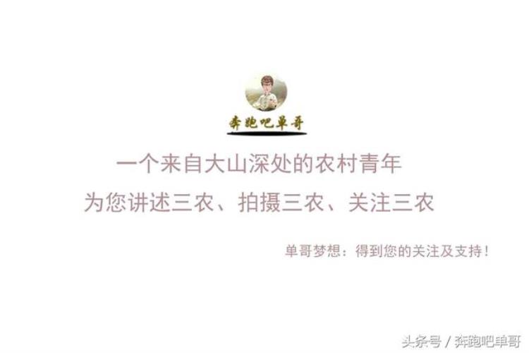 新娘出嫁为什么要打伞和挂镜子「姑娘出嫁为何必打伞腰部还挂镜子农村这些民间习俗你知道吗」