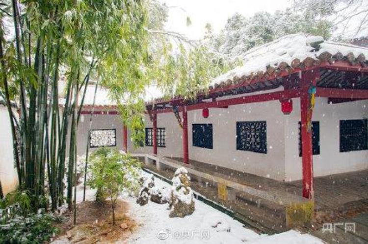 九江的雪景「江西九江现绝美雪景」