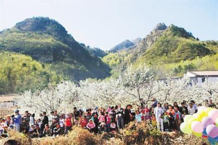 美丽乡村景区「走县域看特色丨乡村美景一年卖出两个亿」