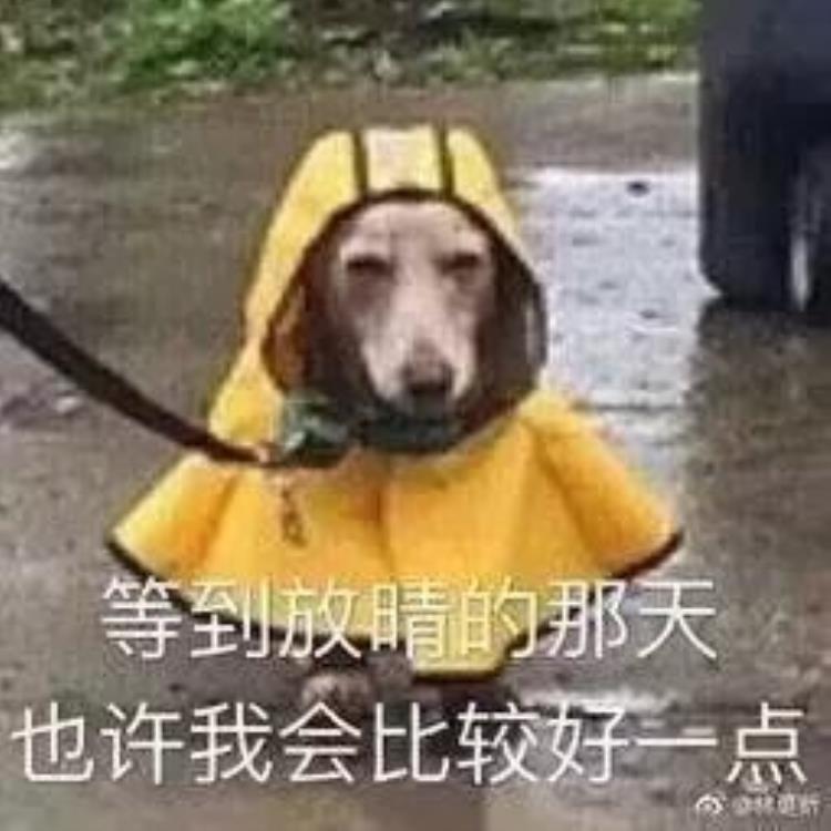 深圳周六下雨「深圳人每逢周末必下雨定律又应验了天气君再加点冷空气」