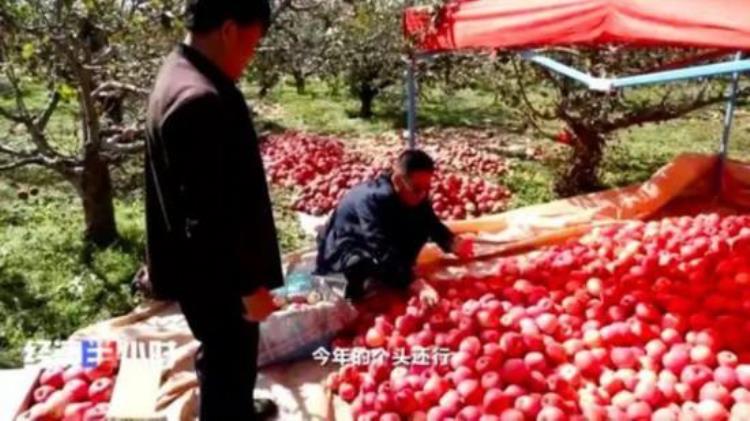 苹果最早的一款过山车游戏「这个主产地苹果3毛钱1斤价格过山车究竟怎么了」