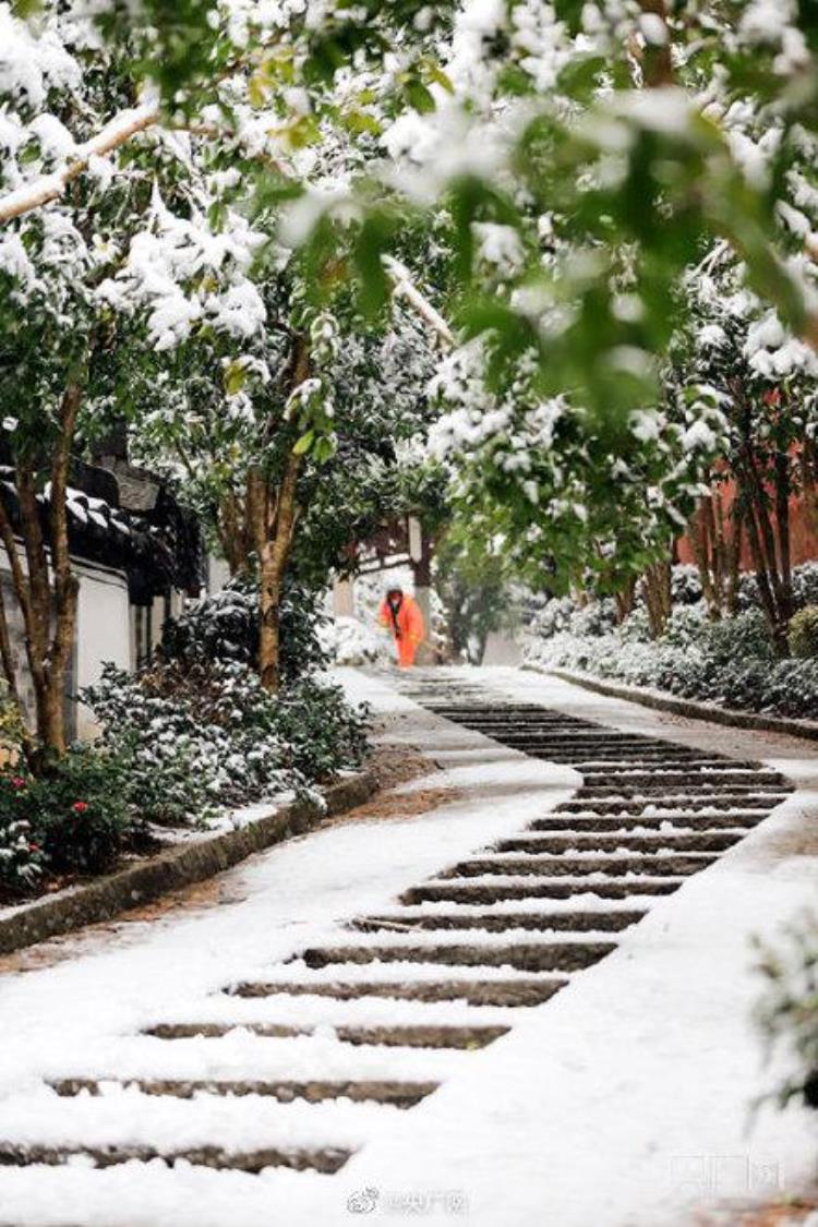 九江的雪景「江西九江现绝美雪景」