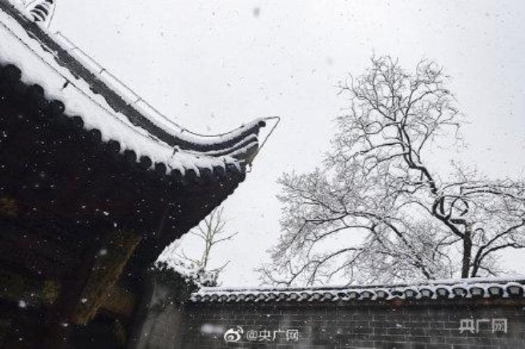 九江的雪景「江西九江现绝美雪景」