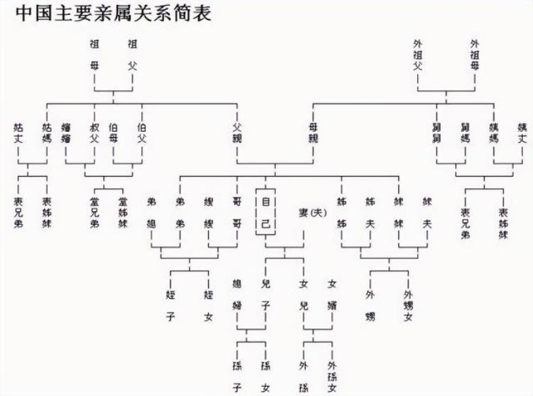 中国亲戚称呼大全「中国亲戚称谓大全」