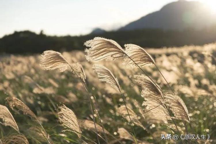 日语月份说法「日语的月份还有这样的读法你知道吗」