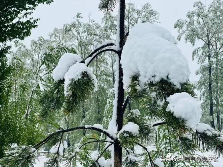 四月暴雨「这场四月暴雪和倒春寒,为什么这么离谱什么时候结束」