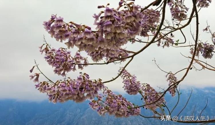 日语月份说法「日语的月份还有这样的读法你知道吗」