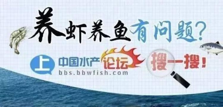 冬天鱼老死是什么原因「越冬期的鱼类为何死亡的四点原因及预防补救方法」