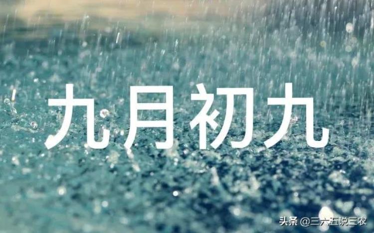 九月初九下雨好不好「九月初九下雨天好吗有什么说法老祖宗农谚能预兆」