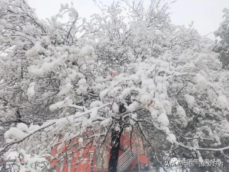 四月暴雨「这场四月暴雪和倒春寒,为什么这么离谱什么时候结束」