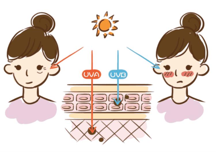 脸老过敏是什么原因引起的「脸老过敏是什么原因揭秘夏季肌肤容易敏感的三大原因」