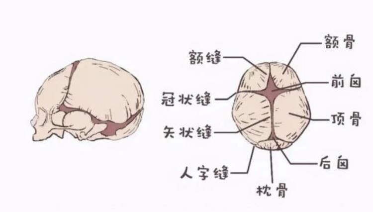 宝宝卤门洗头有影响吗「宝宝囟门命门理发洗头都要注意小心造成严重后果」