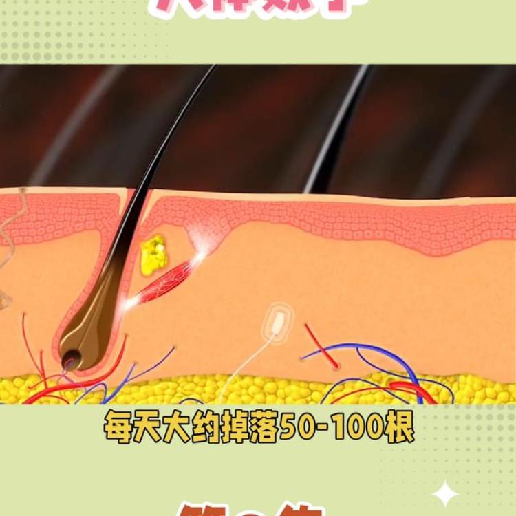 有关人体的数字「你绝对不知道的人体数字小知识3冷知识」