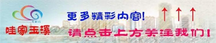 玉溪水果交易市场「玉溪节前水果市场火爆购销两旺」