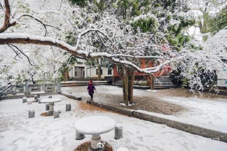 九江的雪景「江西九江现绝美雪景」