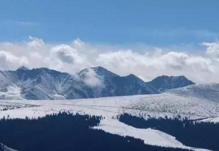 新疆又下大雪了「内地人都热哭了新疆9月竟然在下大雪还惊动了央视」