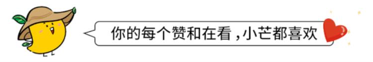 顺丰无人机啥时候发货「顺丰无人机跨琼州海峡首飞快递当天下单当天到」