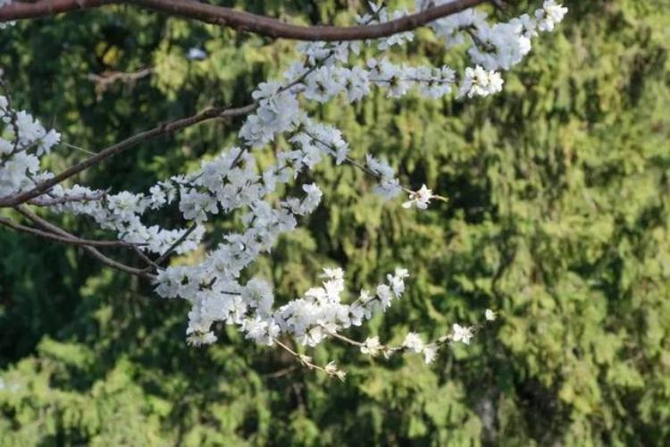 今年3月份的气温「才3月气温就要达到30℃今年夏天是不是更热」