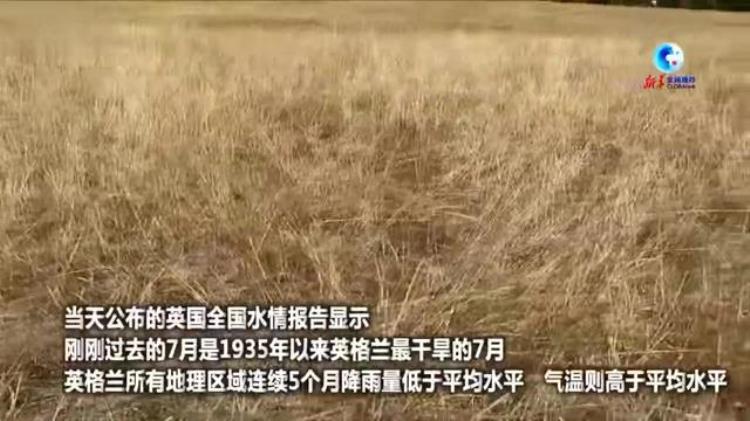 俄罗斯水资源问题「北半球多地遭遇干旱俄罗斯警告饮用水正在成为战略资源」