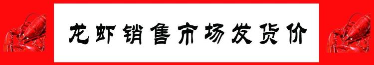 今日5月11日龙虾批发价格「10月7龙虾产区和市场发货价含收购价」