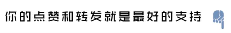 高清海贼王头像壁纸「高清海贼王头像壁纸」