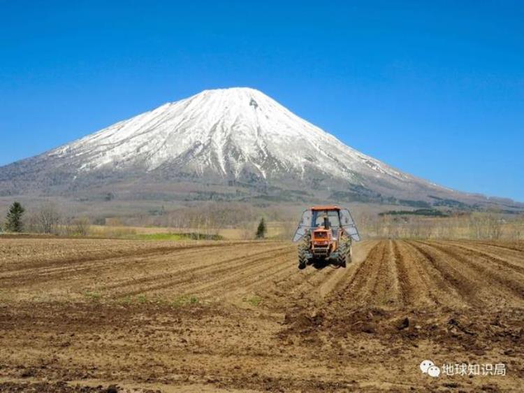 日本的粮食「日本粮食靠东北了」