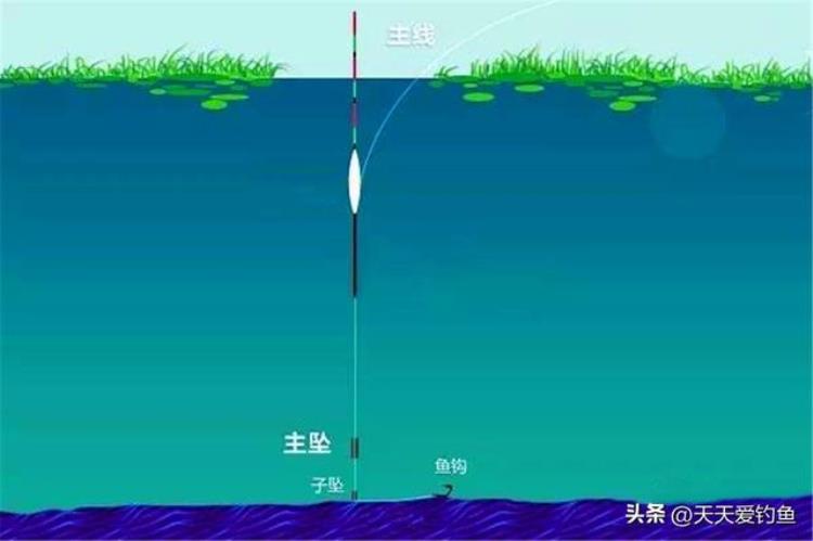 气温低怎么钓鲫鱼「野钓鲫鱼气温变低必定鱼口轻用这4个方法放大漂相」