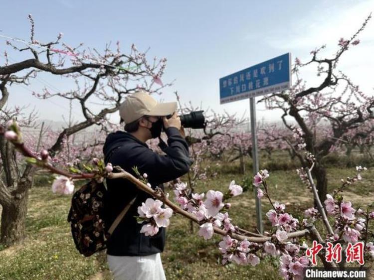 大美青海魅力民和「青海瓜果之乡民和人勤春来早桃花源里话振兴」