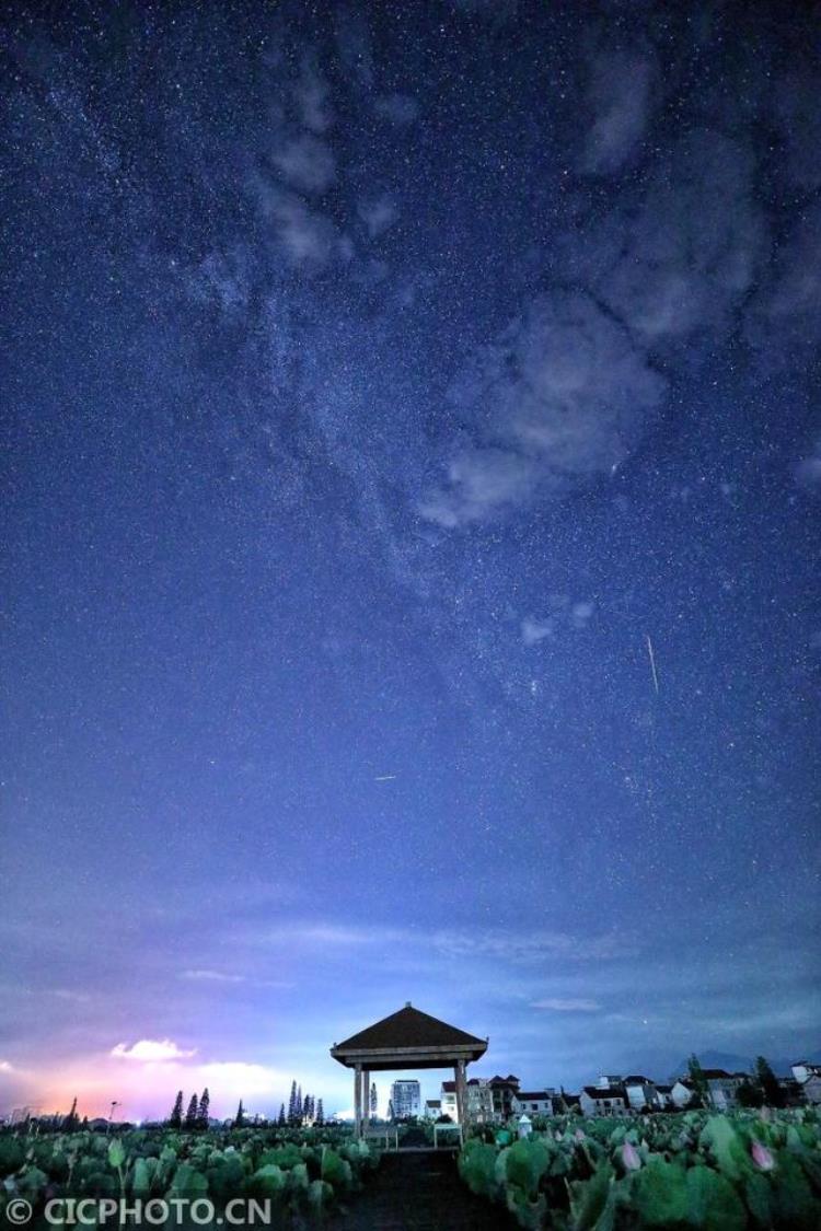 江西莲花荷园星空美如画在哪里「江西莲花荷园星空美如画」