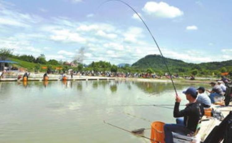 手竿怎么钓黑鱼用什么饵「夏季手竿钓黑鱼技巧民间野路子钓法简单好用」