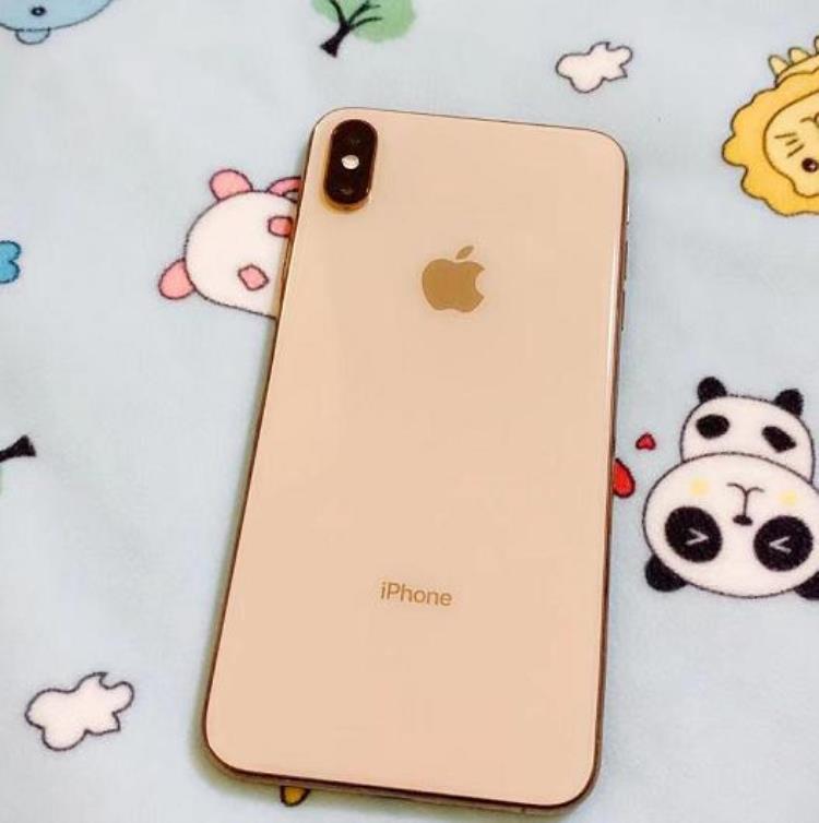 iPhoneXSMax只要3000块只因无面容屏幕有亮点值不值