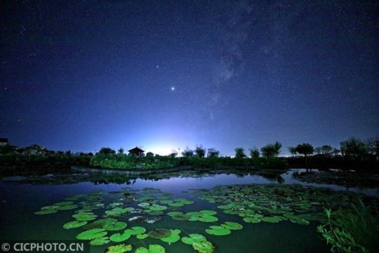 江西莲花荷园星空美如画在哪里「江西莲花荷园星空美如画」