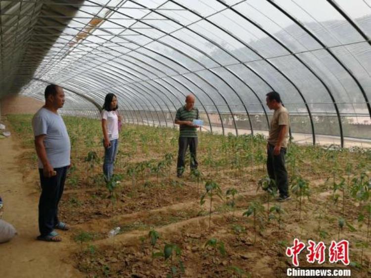 吕梁 脱贫「革命老区吕梁山扶贫掠影互联网特色农产品助力脱贫」