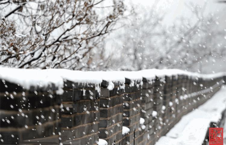 大雪十一月节大者盛也「大雪十一月节至此而雪盛也」