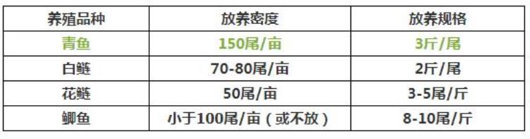 78月青鱼不好养解决好这两种疾病是关键因素吗「78月青鱼不好养解决好这两种疾病是关键」