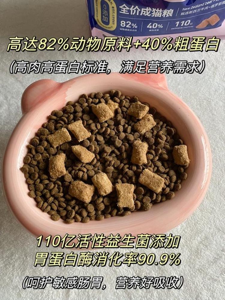 4个月大母猫会怀孕吗「四个月的母猫会不会怀孕母猫怀孕的可能性与相关知识」