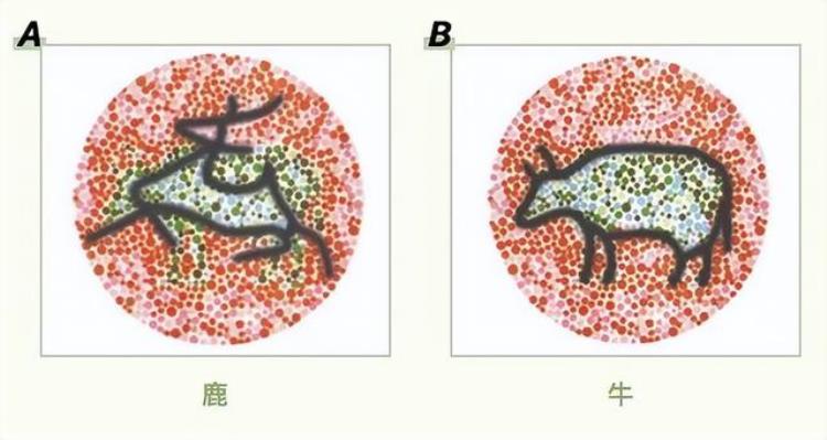 测视力色盲图表「老花近视色盲四张眼科测试图花1分钟自测眼睛是否健康」