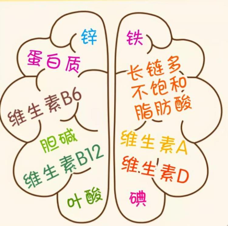 出生月份对人的影响「哈佛研究发现出生月份会影响孩子智商你家赶上聪明月了吗」