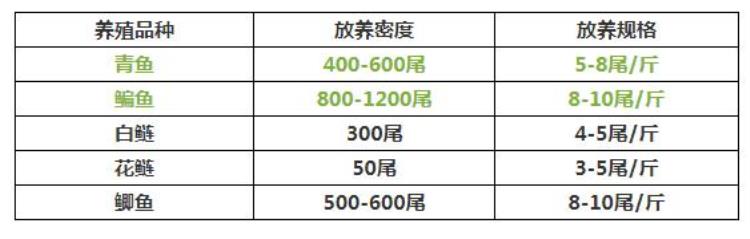 78月青鱼不好养解决好这两种疾病是关键因素吗「78月青鱼不好养解决好这两种疾病是关键」