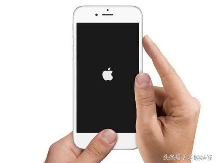 iphone11六月份价格「11月17日苹果报价别去国美6s比iPhone7还贵」