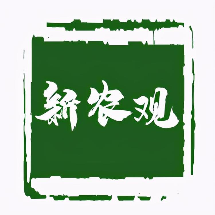 10月份猪价比9月份上涨了10「10月猪价为啥持续上涨真实原因已找到11月还涨吗看完有数了」