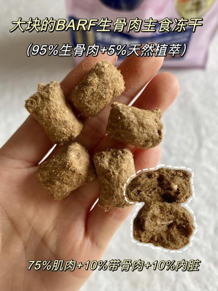 4个月大母猫会怀孕吗「四个月的母猫会不会怀孕母猫怀孕的可能性与相关知识」