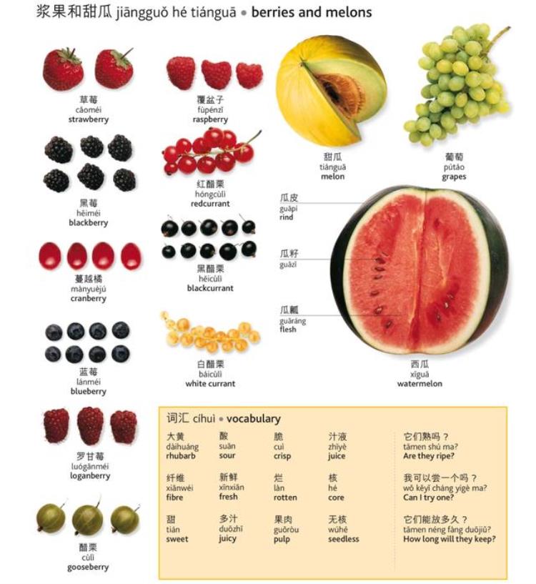 关于食物和饮料的英文单词有哪些「最全日常食物饮料的英文翻译建议收藏」